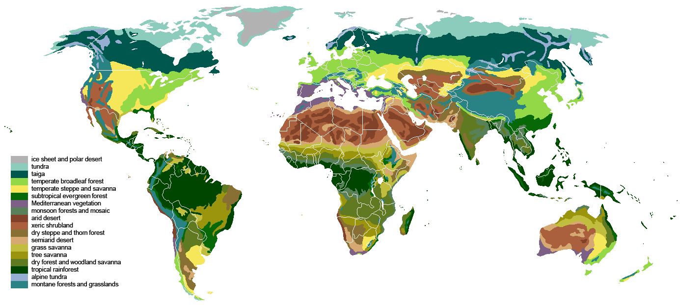 A map of biomes of the actual Earth